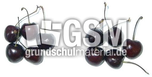 Kirschen5+5.jpg
